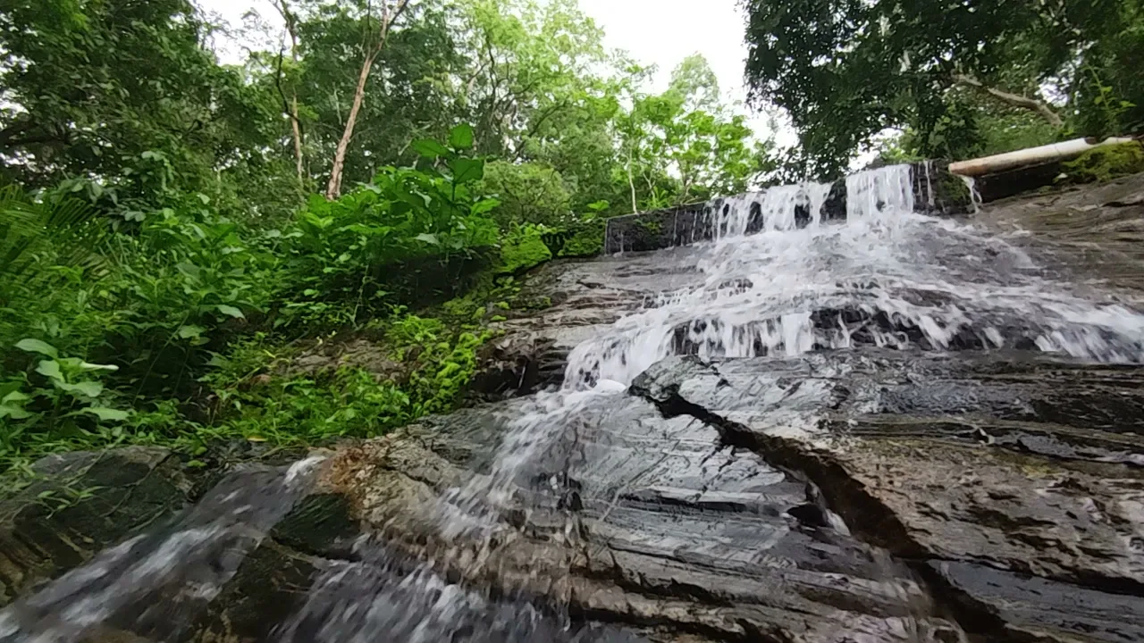 The largest national park in Nigeria is Gashaka-Gumti National Park.