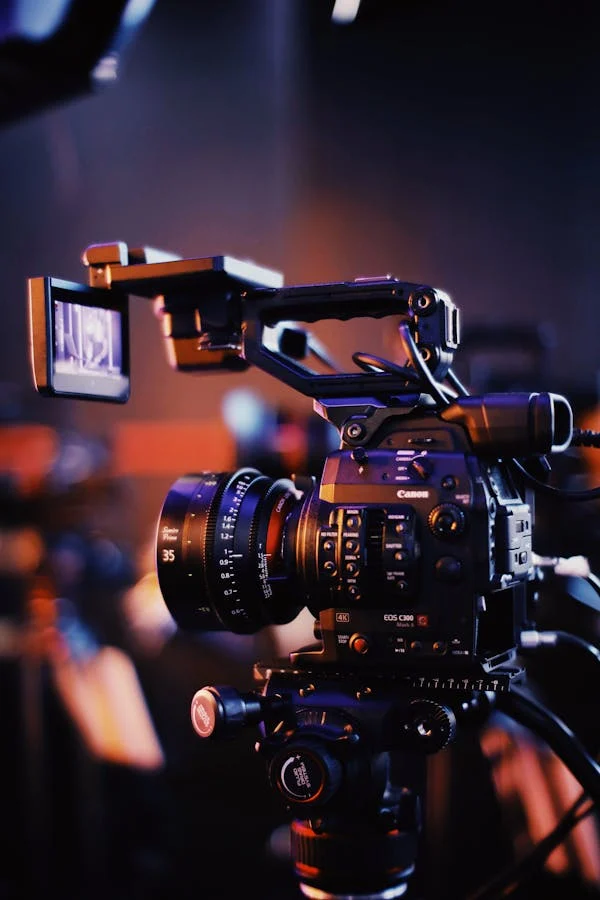 Abuja's Digital Renaissance: Exploring the Entertainment Landscape's Adaptive Growth